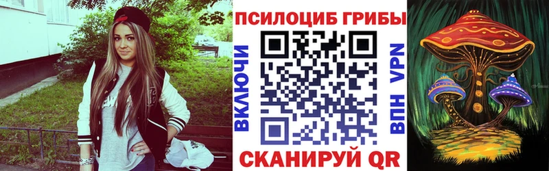 Галлюциногенные грибы Psilocybe  где продают   Правдинск 